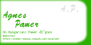 agnes pamer business card